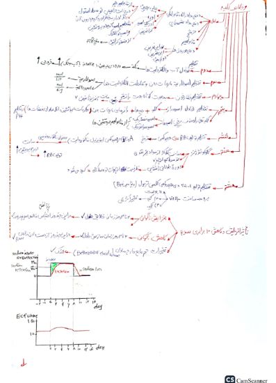 تصویر  دستگاه کلیه >>> فیزیولوژی ( کد 13074)