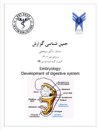 تصویر  دستگاه گوارش >>> جنین شناسی (کد 13053)