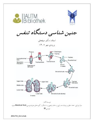 تصویر  دستگاه تنفس >>> جنین شناسی (کد 12024)