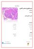 تصویر  پاتولوژی اختصاصی ۳ >>> کلیه جلسه سوم (کد 230343)