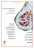 تصویر  پاتولوژی اختصاصی ۳ >>> پستان (کد 230361)